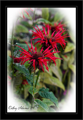 DSC05863_DxO.png