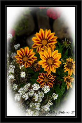 DSC09456_DxO.png