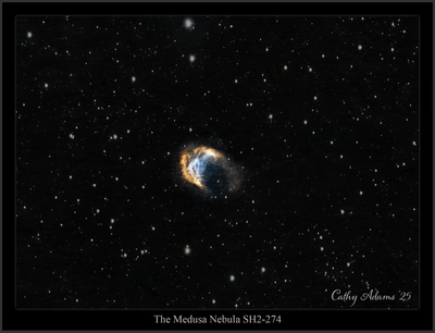 Medusa sh2 274 b.png