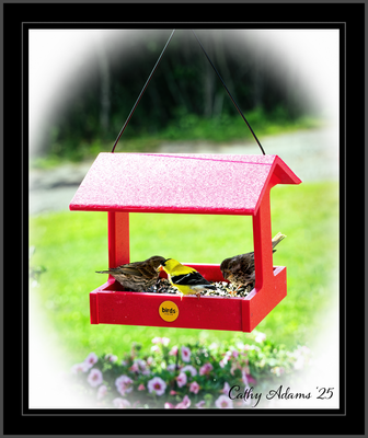 DSC09776_DxO.png