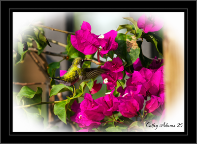 DSC09788_DxO.png