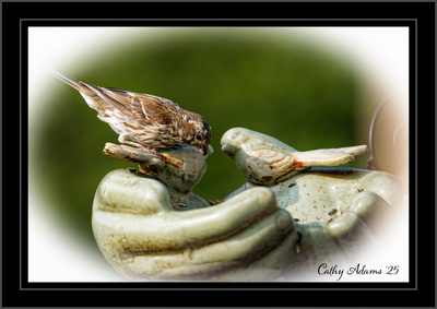 DSC09802_DxO.png