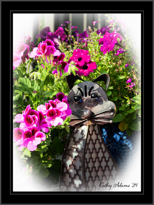 DSC09814_DxO.png