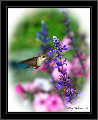 DSC09821_DxO.png