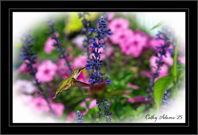 DSC09823_DxO.png