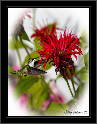 DSC09826_DxO.png