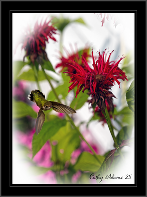 DSC09827_DxO.png