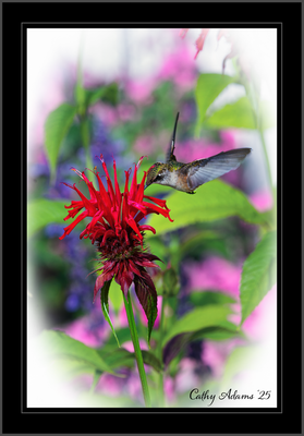 DSC09829_DxO.png