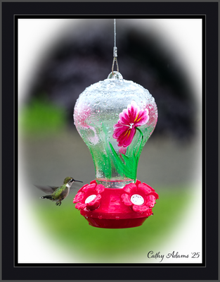 DSC09896_DxO.png