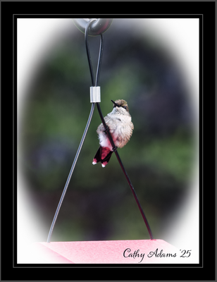 DSC09906_DxO.png