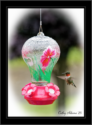 DSC09971_DxO.png