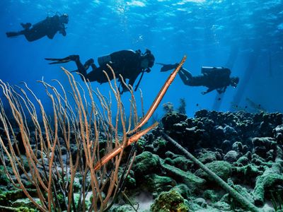 Bonaire