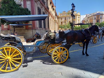 do you need a ride