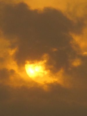 IMG_6253.JPG
