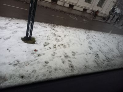 Oslo streets of snow