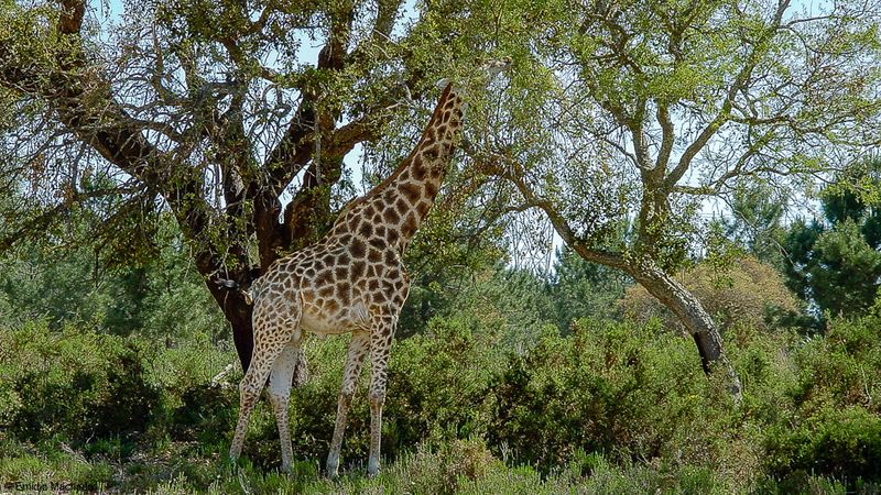 ZOO_EM-02880.jpg