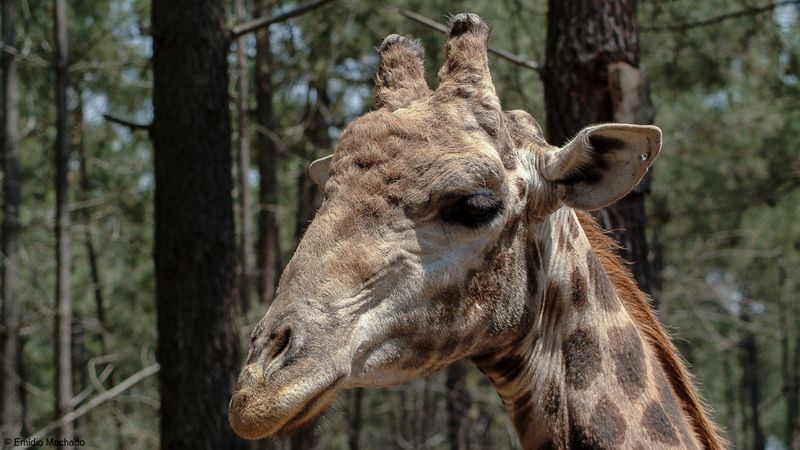 ZOO_EM-5786.jpg