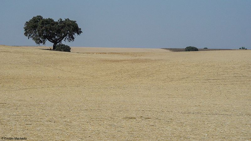 Alentejo_DSC00976.jpg