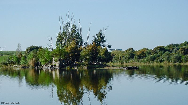 Alentejo_DSC02519.jpg
