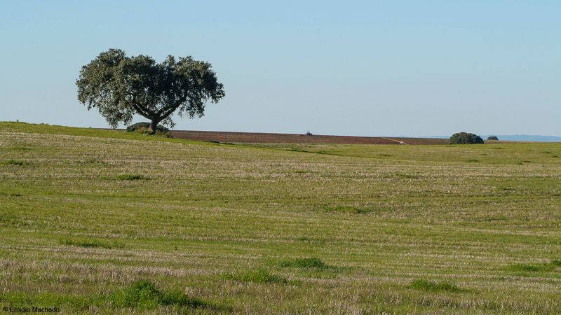 Alentejo_EM-4648.jpg