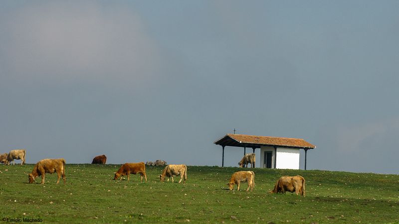 Alentejo_EM-0061480.jpg