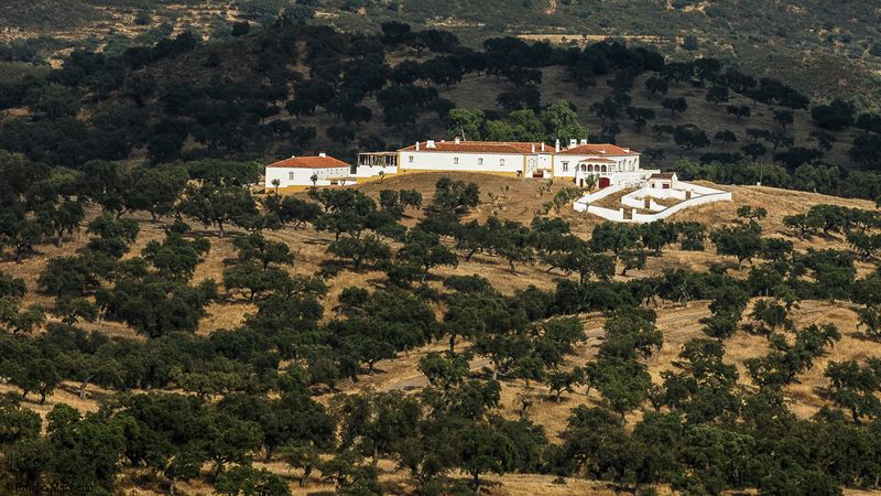 Alentejo_EM-0062627.jpg
