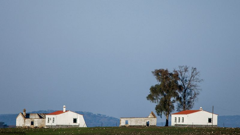 Alentejo_EM-557409.jpg