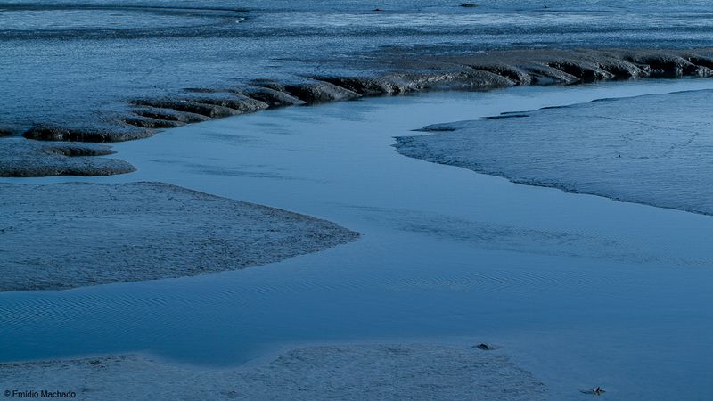 Estuario do Tejo_EM-4341.jpg