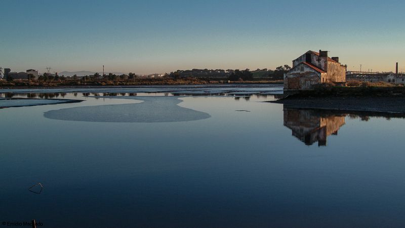 Estuario do Tejo_EM-8404.jpg