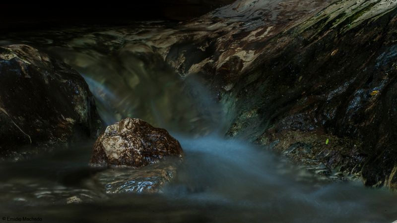 _EM94454.jpg