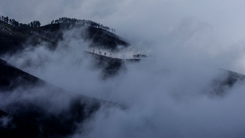_0060097.jpg