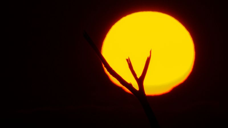 DSCF2233.jpg