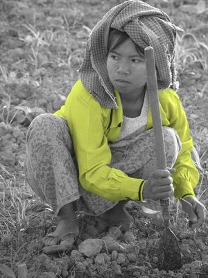 B&W Colorized
