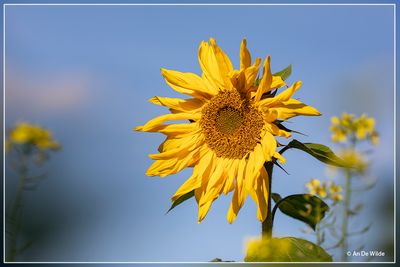 _MG_2726.jpg