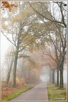 _MG_8357.jpg