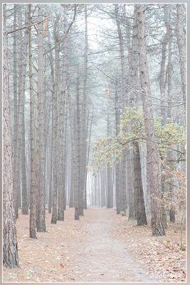 _MG_9865.jpg