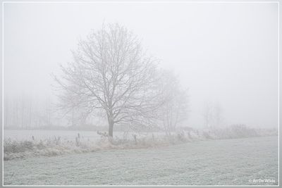 _MG_9871.jpg