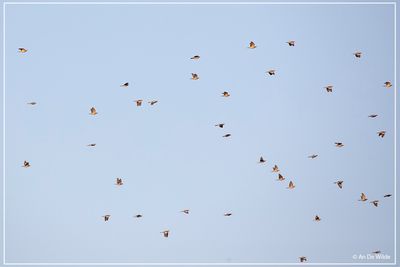 _MG_9552.jpg