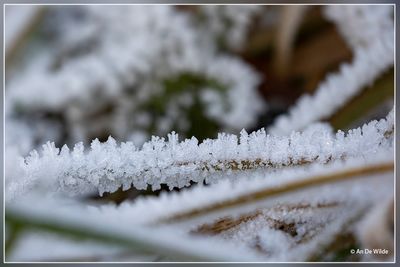 _MG_9572.jpg
