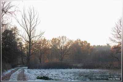_MG_9573.jpg