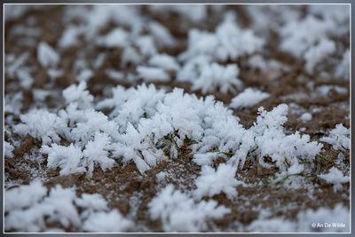 _MG_9585.jpg