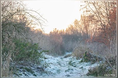 _MG_9621.jpg