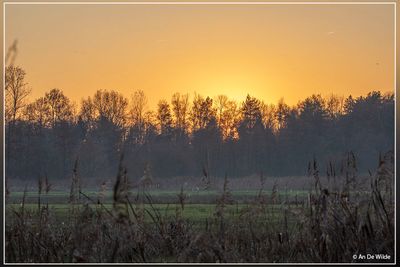 _MG_9634.jpg
