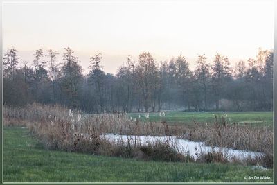 _MG_9638.jpg