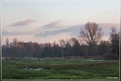 _MG_9639.jpg