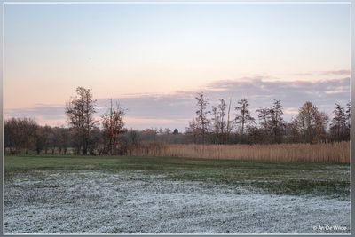 _MG_9647.jpg