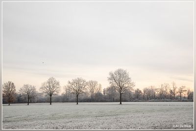 _MG_0118.jpg