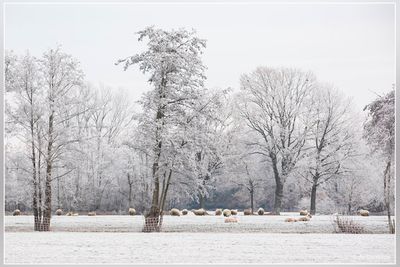 _MG_0128.jpg