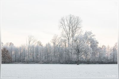 _MG_0133.jpg