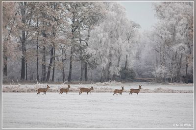_MG_0155kopie.jpg